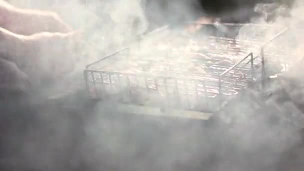 Shish kebab disiapkan pada panggangan dalam asap — Stok Video