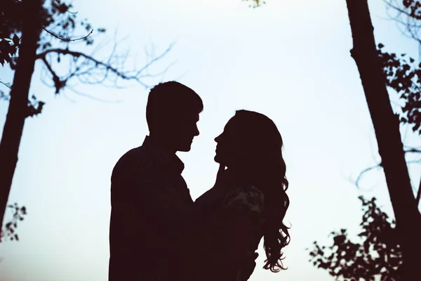 Silueta de dos amantes abrazándose en el bosque . — Foto de Stock