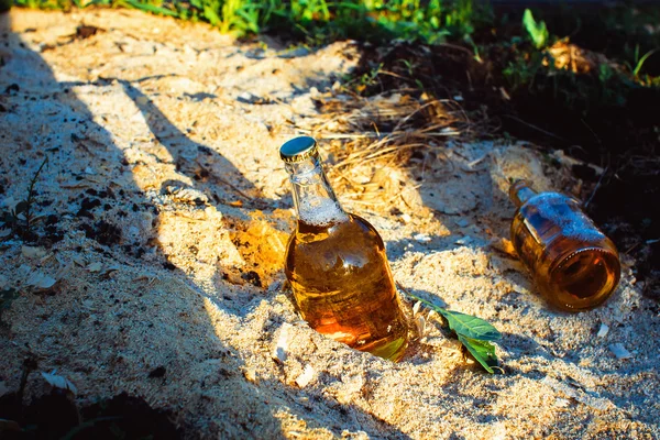 Garrafas com cerveja dourada em serragem . — Fotografia de Stock