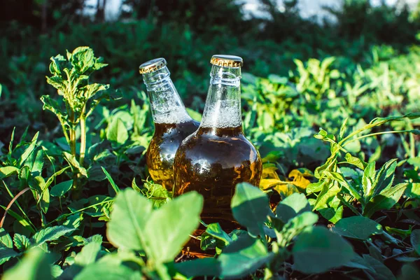 Bierflasche im Gras — Stockfoto