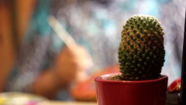 El cactus está en la habitación — Vídeo de stock