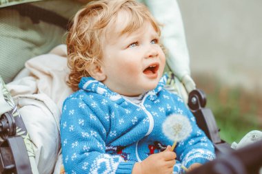 Mavi bluzlu bebek arabasında oturan küçük mutlu çocuk.