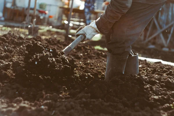 Homem Cava Jardim Sua Área Suburbana — Fotografia de Stock