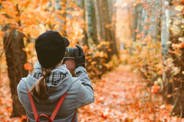 Egy Lány Fényképeket Készít Őszi Erdőben Egy Okostelefonon — Stock Fotó