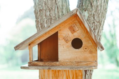 Ağaçta asılı ahşap kuş evi