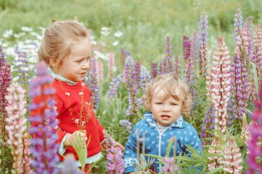 Kız ve erkek kardeş bir yaz günü çimenlerde oynarlar.