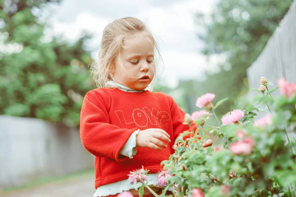 Criança Feliz Brincando Entre Grama Dia Verão — Fotografia de Stock