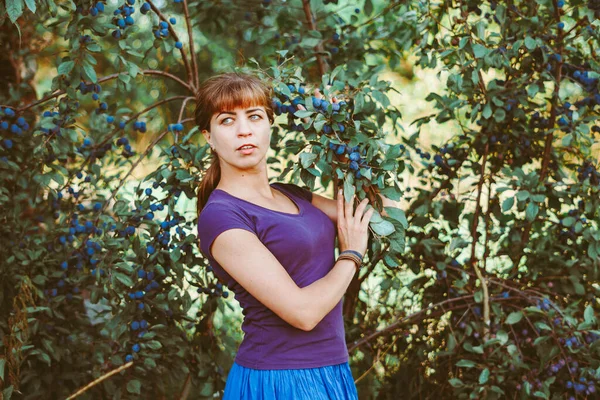 Hermosa Chica Cerca Los Arbustos Bayas Azules Verano —  Fotos de Stock