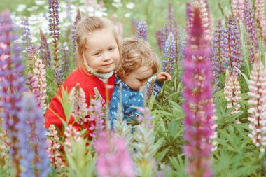 Kız ve erkek kardeş bir yaz günü çimenlerde oynarlar.