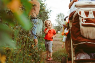 Küçük kız yaz bahçesinde frenk üzümü yiyor.
