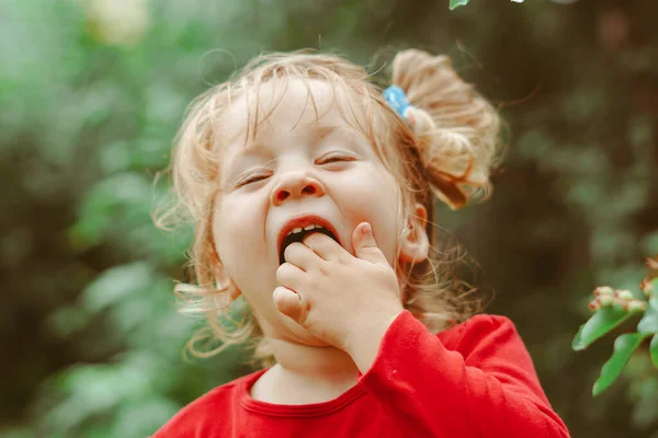 Liten Flicka Äter Vinbär Sommarträdgården — Stockfoto