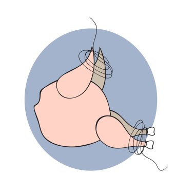 stilize tavuk konu ile ilgili