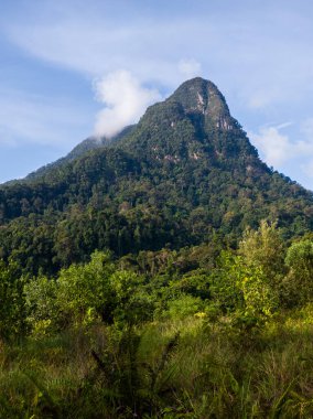Santubong Dağı 'nın ikonik zirvesinin dikey bileşimi yoğun tropikal yağmur ormanı ve Sarawak' taki ön plan yeşilliğinin üzerinde yükseliyor. 20 Ağustos 2022, Santubong, Kuching, Sarawak, Malezya