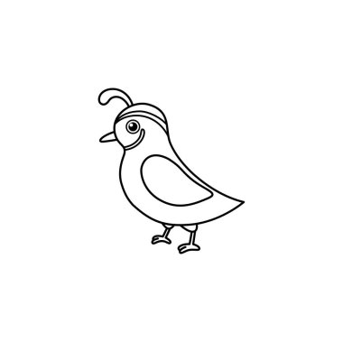 Basit bıldırcın tasviri, temiz çizgi sanat tarzı, boyama sayfaları ve çocuk aktiviteleri için ideal