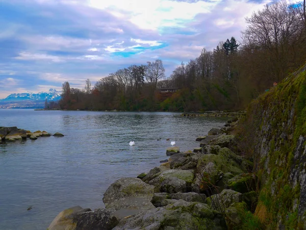 Views of Lake Geneva — Stock Photo, Image