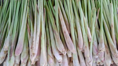 Taze Aromatik Limon Çimeni Takipçiliği Arkaplanı