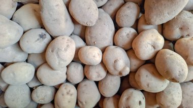 Yıkanmamış Taze Patates Yığını Topraktan Toprakla