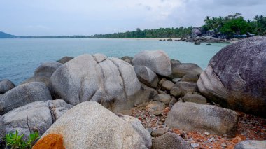 Tropikal Sahildeki Dev Granit Kayalar