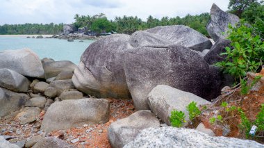 Deniz kenarındaki Büyük Granit Kaya oluşumları