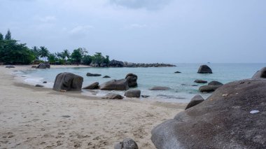 Huzurlu sahil sahnesi beyaz kum, yerde yeşil bir hindistan cevizi, sakin mavi su ve okyanusta granit kaya oluşumları..