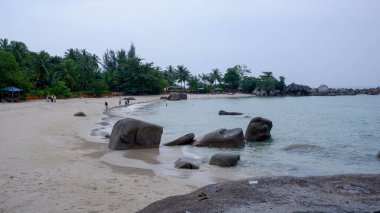 Huzurlu sahil sahnesi beyaz kum, yerde yeşil bir hindistan cevizi, sakin mavi su ve okyanusta granit kaya oluşumları..