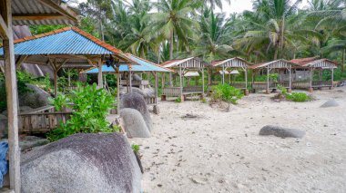 Geleneksel Plaj Çardakları Kum Kıyısı boyunca Tropikal Palmiye Ağaçlarıyla