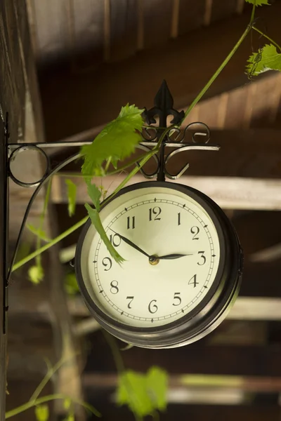 Clock and leaves outdoors — Stock Photo, Image