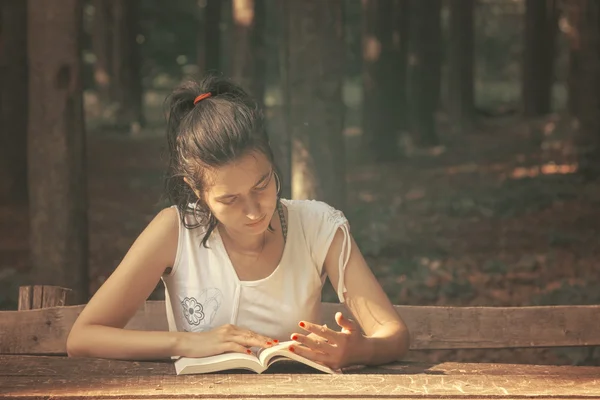 Ragazza che legge un libro Immagine Stock