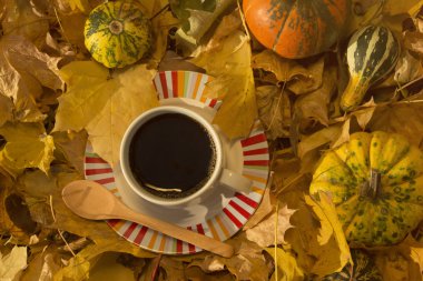 Sarı yapraklar ve su kabakları çevrili kahve 