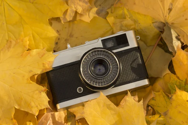 Vintage-Fotokamera auf dem Boden mit gelben Blättern bedeckt — Stockfoto