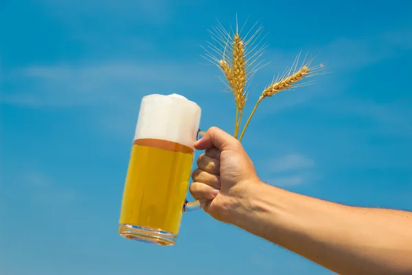 Рука держит кружку пива и колосьев пшеницы — стоковое фото