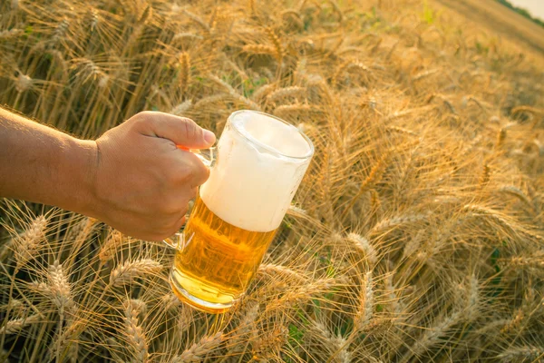 Tasse à main du champ de récolte de bière — Photo