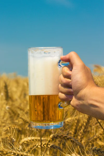 Tasse à main de bière sur le champ de récolte — Photo