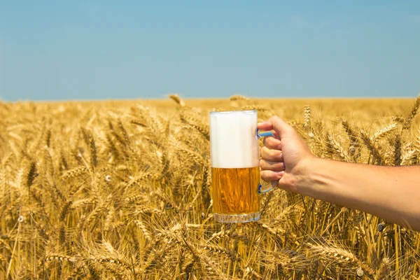 Hand holding mug of beer harvest field — Stock Photo, Image