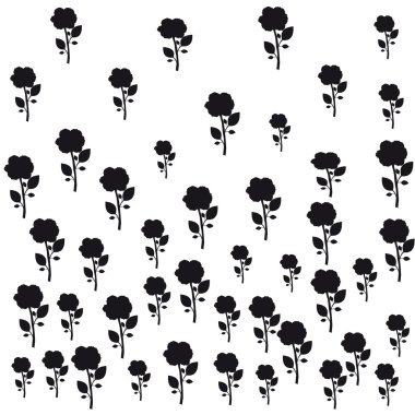 siyah gül beyaz arka plan dokusu