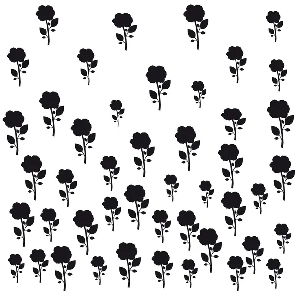 siyah gül beyaz arka plan dokusu