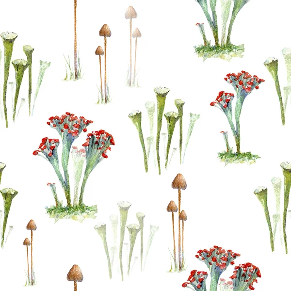 Mantarlar ve likenler seamless modeli.