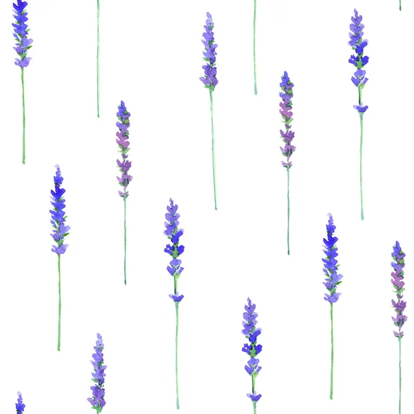 Квітковий безшовний візерунок з квітами лаванди — стокове фото