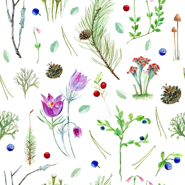 Çam ormanı çiçek dikişsiz desen. Meyve, dal, çam kozalağı, yosun, mantar, kardelen, liken ile suluboya illüstrasyon.