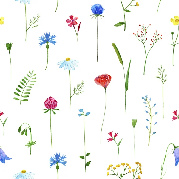 Çayır çiçekleri ile çiçek dikişsiz desen.