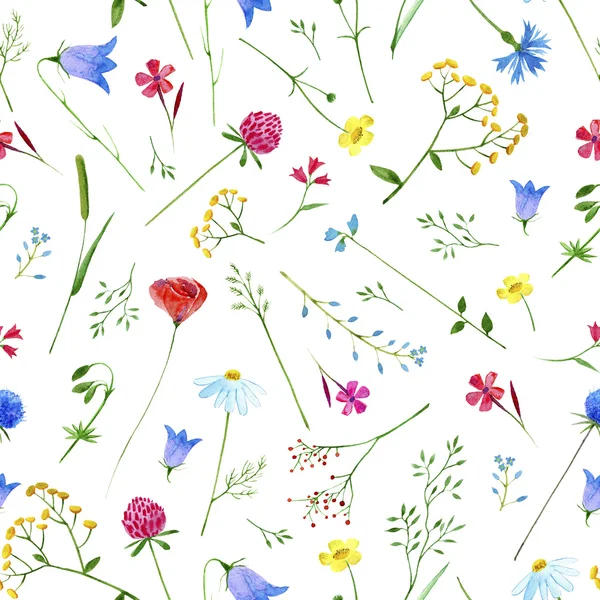 Çayır çiçekleri ile çiçek dikişsiz desen.