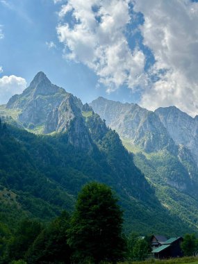 Dramatic mountain peaks with forest and alpine meadow in the foreground.