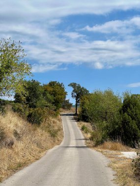 Country road between dry grass fields under blue sky with scattered clouds.