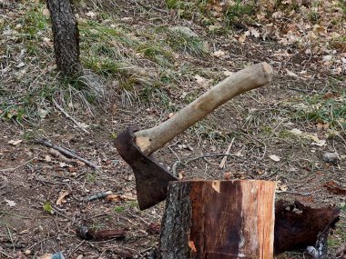 Balta bir ağaç kütüğü içinde sıkışmış.