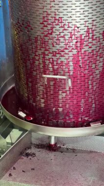Rich red Barbera grape juice flows from a wine press into a collection container, capturing the vibrant color and texture of freshly pressed must during winemaking.