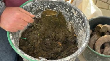 Çiftçi ellerinin Biyodinamik Hazırlık 500 'ü hazırlamak için inek boynuzlarına taze gübre doldurduğu yakın plan çekimi.