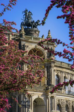 Dresden Semper Opera Tiyatrosu (Semperoper), ilkbaharda ön manzara. Önplanda açan dallar.
