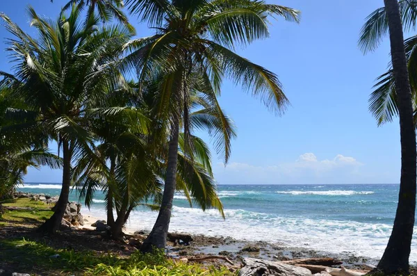 San Andres, Kolombiya 'da sahil yürüyüşü