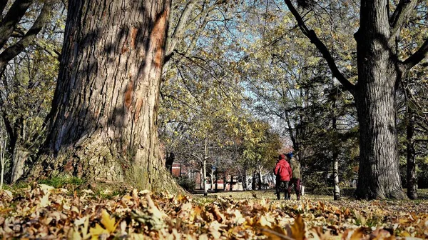 Sonbahar, yılın en renkli ve romantik ayı.