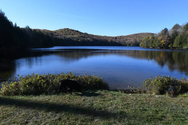 Ormanda sonbahar, Quebec 'te Simon Gölü, Kanada